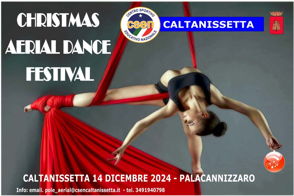 Christmas Aerial Dance Festival
